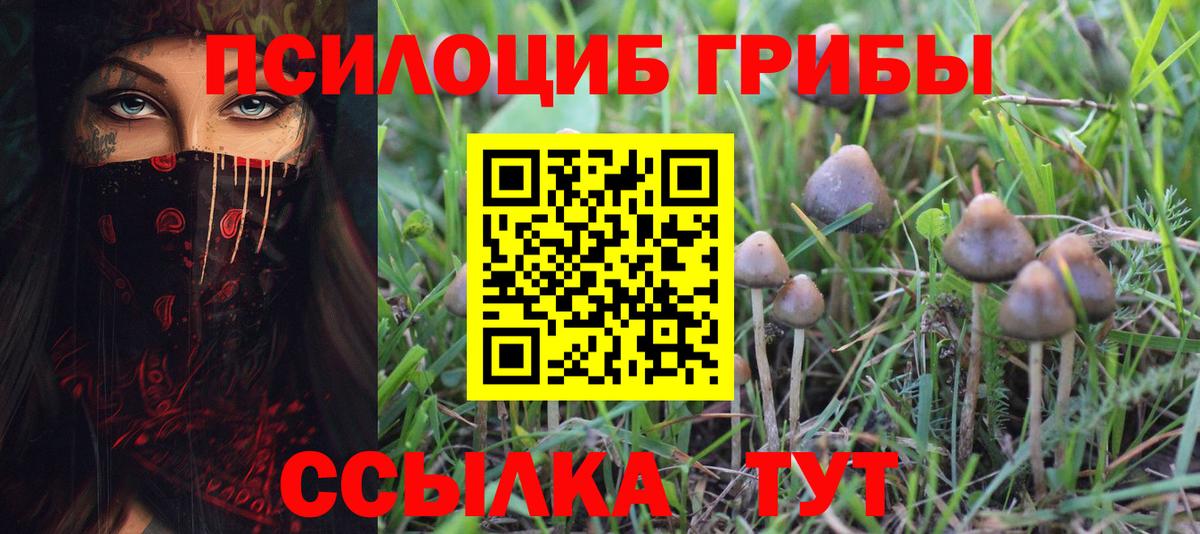 Галлюциногенные грибы MAGIC MUSHROOMS Ржев
