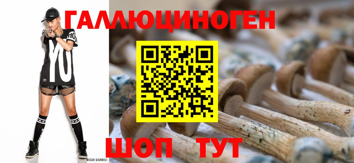 Ржев  Галлюциногенные грибы Cubensis  Вход с VPN 